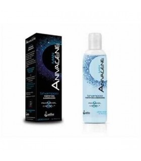 Shampoing Anti Chute de Cheveux pour Homme 200ml