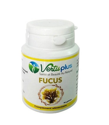 FOCUS 90 GELULES