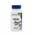 MGD FUCUS 120 GÉLULES