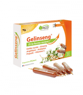 MGD GELINSENG 20 AMPOULES