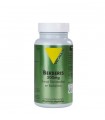 VITALL PLUS BERBERIS 500MG 60 GELULES