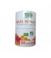 GPH DIFFUSION GELEE ROYALE 100 PURE 30G