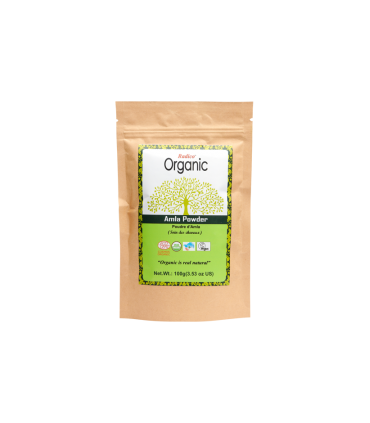 POUDRE INDIENNE BIO AMLA 100 GR
