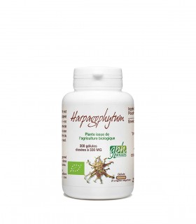 HARPAGOPHYTUM 330MG 200 GÉLULES