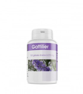 GATTILIER 100 GELULES
