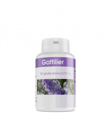 GATTILIER 100 GELULES