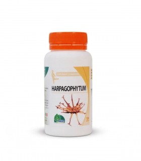 MGD HARPAGOPHYTUM 90 GÉLULES