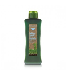 SCALP CARE SHAMPOING MIEL 300 ML