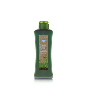 SCALP CARE SHAMPOING MIEL 300 ML