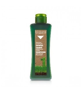 SHAMPOING SPÉCIFIQUE PELLICULES 300ML